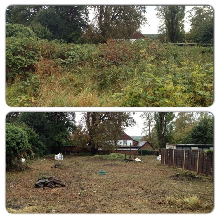 Garden Clearance, Waste and Disposal in Burnham on Sea, Weston Super Mare and Bridgwater